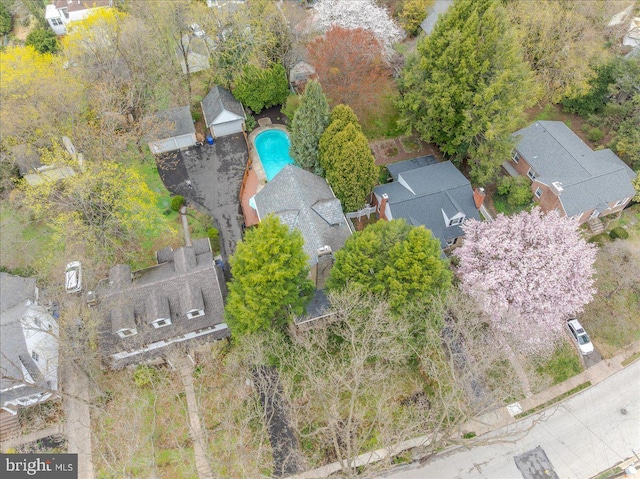 bird's eye view