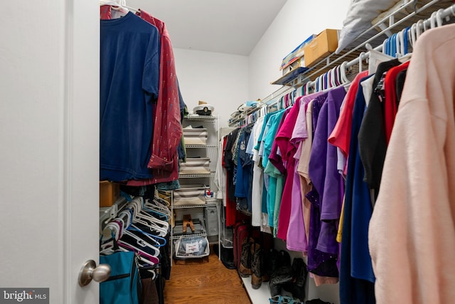 105 Cresthaven Ln, Dover, DE 19901 - spacious closet with wood finished floors