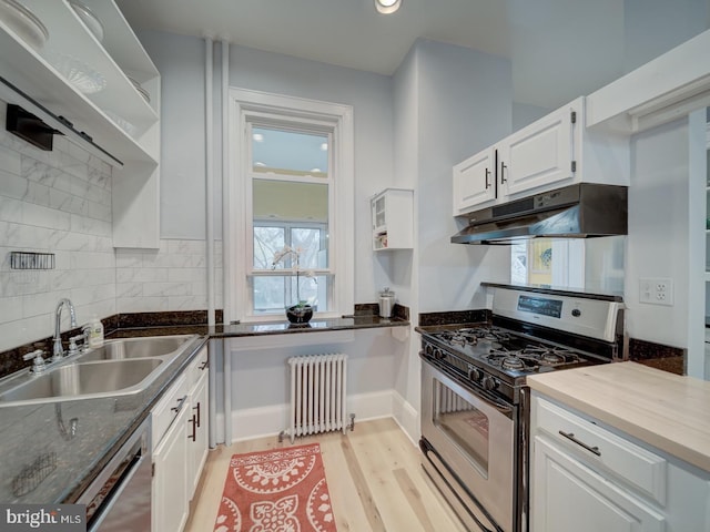 1234 Monroe St NE, Washington, DC 20017 - kitchen with a sink, appliances with stainless steel finishes, under cabinet range hood, white cabinetry, and radiator heating unit