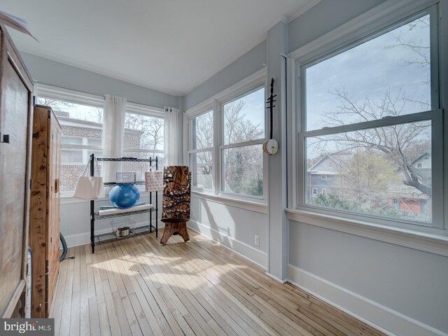1234 Monroe St NE, Washington, DC 20017 - sunroom / solarium featuring hardwood / wood-style floors and baseboards