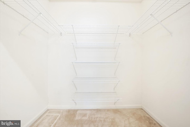 2901 S Leisure World Blvd Unit 133, Silver Spring, MD 20906 - walk in closet with light carpet