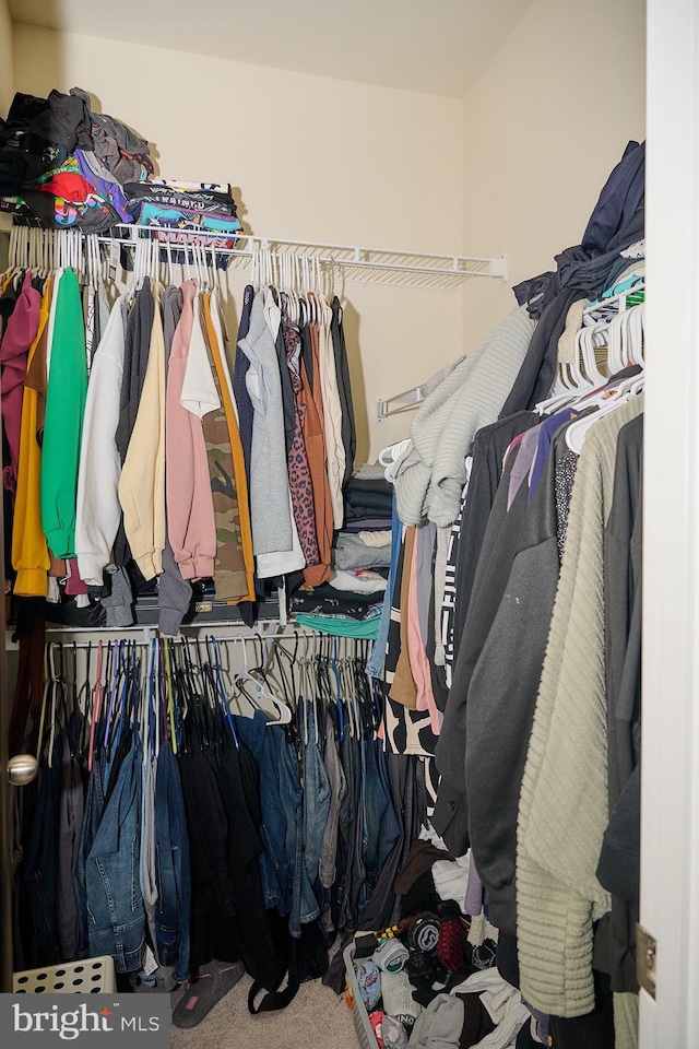 walk in closet with carpet floors