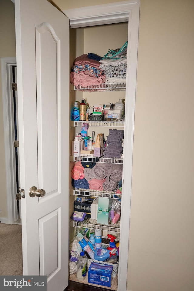 view of closet