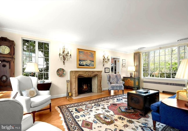 living room featuring crown molding, radiator, a healthy amount of sunlight, and a premium fireplace