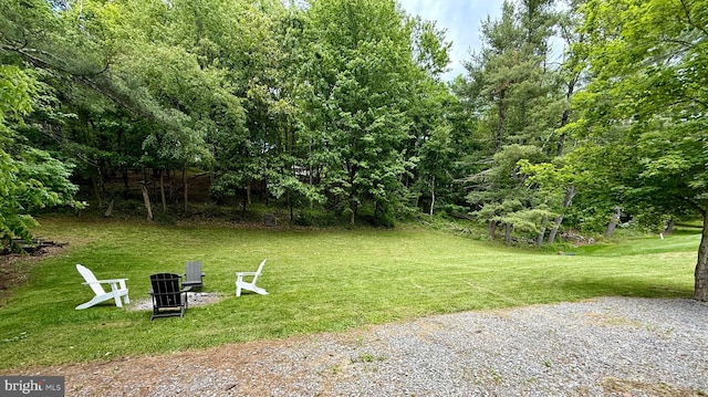 11003 Marty St NW, Lavale, MD 21502 - view of grassy yard