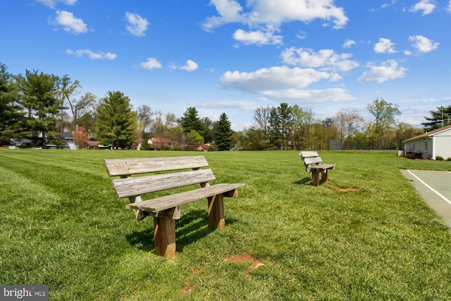 view of community featuring a yard
