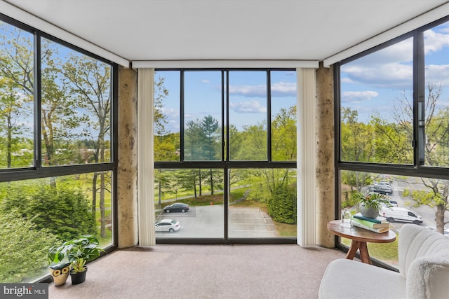 sunroom with expansive windows and carpet floors