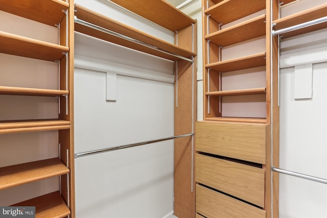 view of spacious closet
