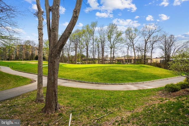 view of property's community with a yard