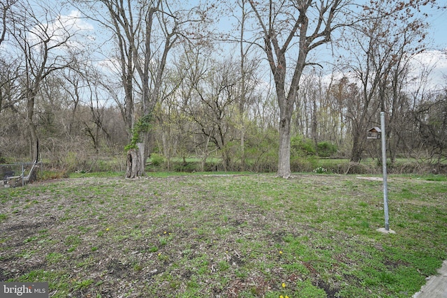 2175 Princeton Pike, Lawrenceville, NJ 08648 - view of yard