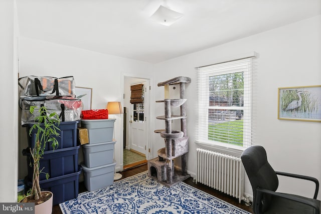 office space featuring radiator and wood finished floors