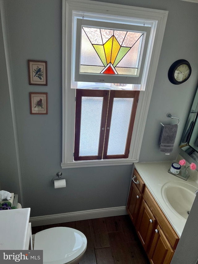1671 Fravel Rd, Woodstock, VA 22664 - bathroom featuring vanity, plenty of natural light, wood finished floors, and baseboards