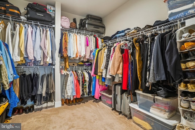102 Saint Ives Pl Unit 209, National Harbor, MD 20745 - spacious closet featuring carpet