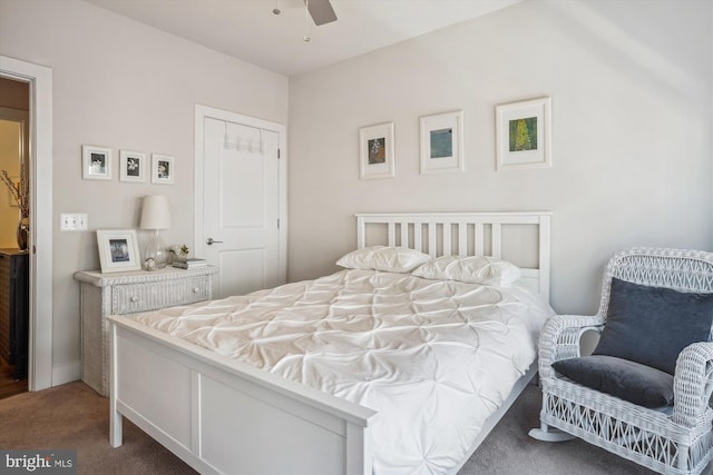 102 Saint Ives Pl Unit 209, National Harbor, MD 20745 - bedroom featuring ceiling fan and carpet