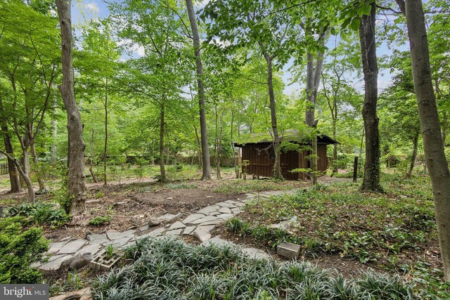 5936 River Dr, Lorton, VA 22079 - view of nature