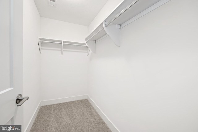walk in closet with visible vents and carpet
