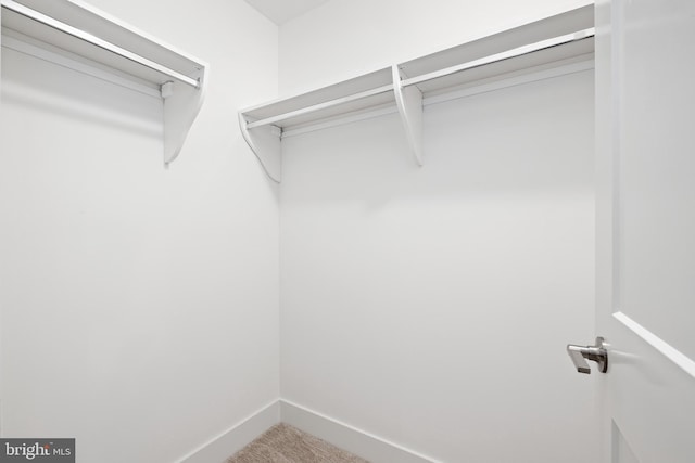 spacious closet with carpet floors