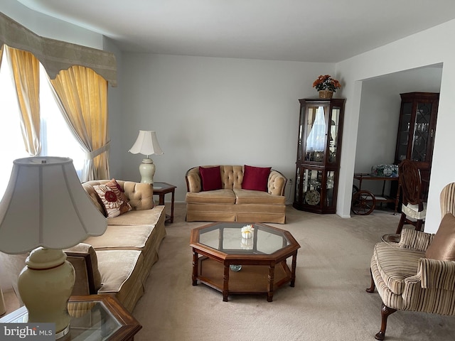 24 Elm Dr, Hightstown, NJ 08520 - living room featuring light carpet