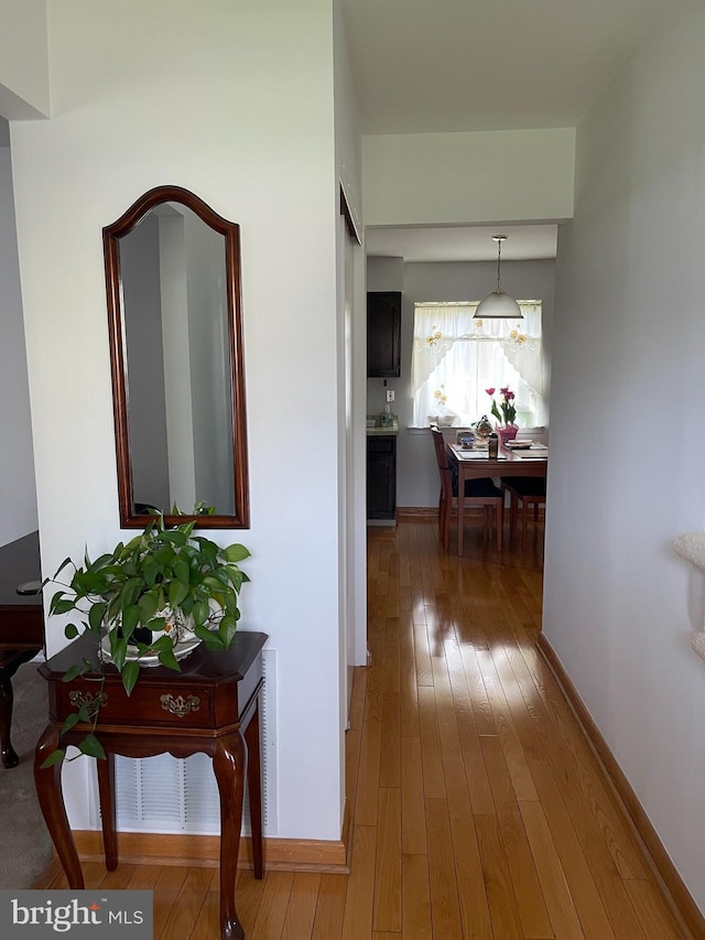 24 Elm Dr, Hightstown, NJ 08520 - hallway featuring wood-type flooring and baseboards