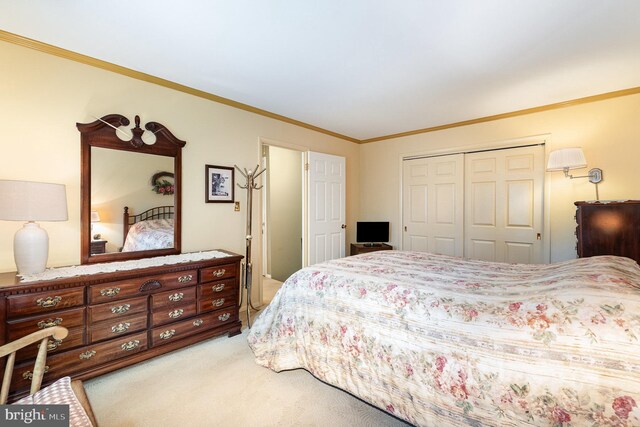6 Dewberry Way, Bel Air, MD 21014 - bedroom featuring crown molding, a closet, and carpet floors