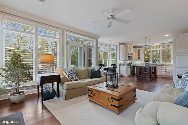 2656 Queen Anne Cir, Annapolis, MD 21403 - living area featuring dark wood-style flooring, a ceiling fan, and recessed lighting