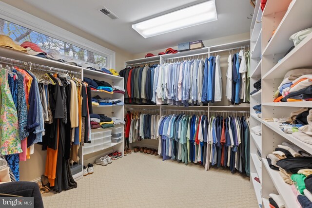 2656 Queen Anne Cir, Annapolis, MD 21403 - spacious closet with carpet and visible vents