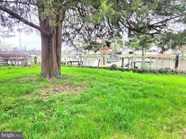 40 Dogwood Dr, Baltimore, MD 21220 - view of yard featuring a water view and a dock