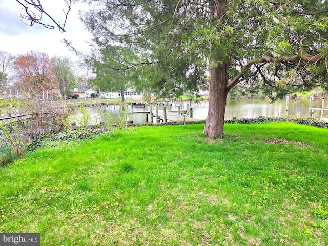 40 Dogwood Dr, Baltimore, MD 21220 - view of yard featuring a water view