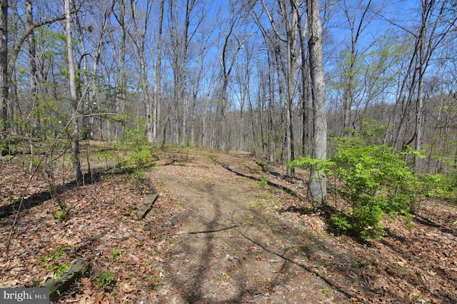 view of street with a forest view