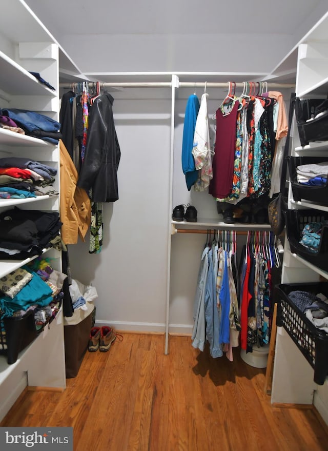 walk in closet with wood finished floors