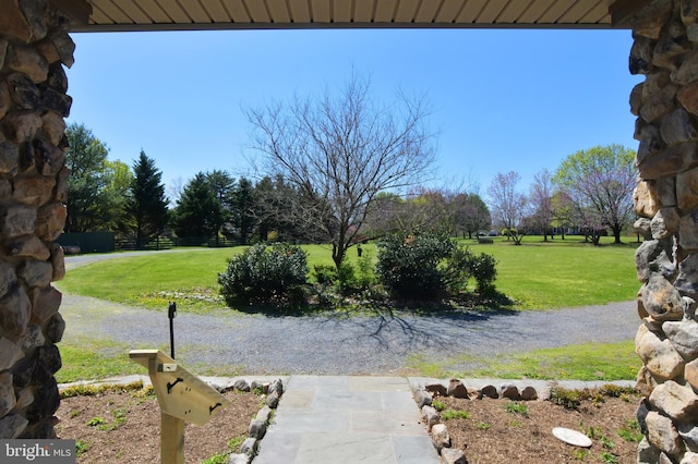 view of yard