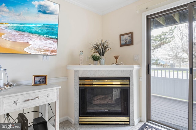 201 S Heron Dr Unit 1G, Harbour Club, Ocean City, MD 21842 - room details with a fireplace, ornamental molding, and baseboards