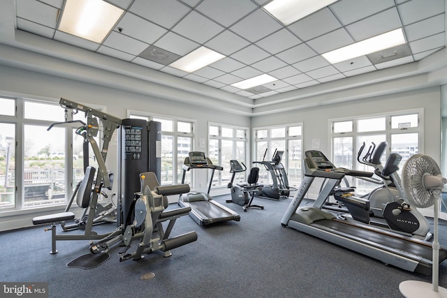 201 S Heron Dr Unit 1G, Harbour Club, Ocean City, MD 21842 - gym with plenty of natural light and a paneled ceiling
