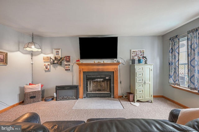 113 Fieldbrook, Magnolia, DE 19962 - living room featuring a fireplace with flush hearth, carpet, and baseboards