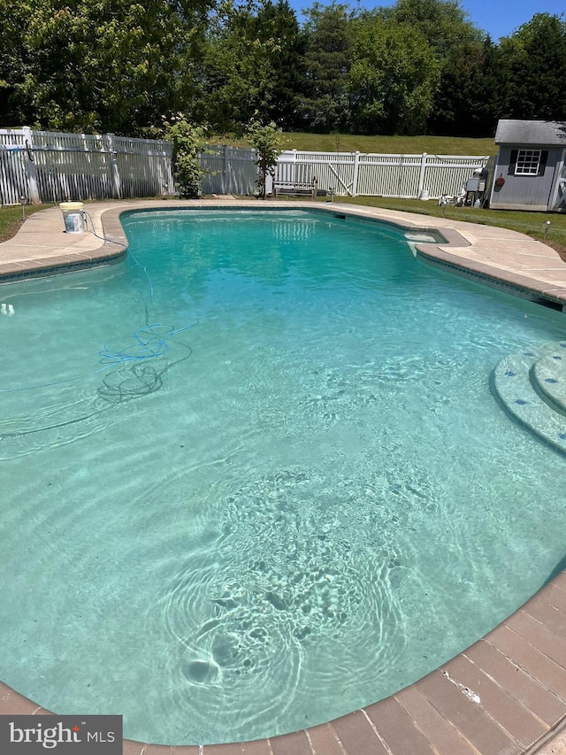 113 Fieldbrook, Magnolia, DE 19962 - view of pool featuring a fenced backyard, an outbuilding, and a shed