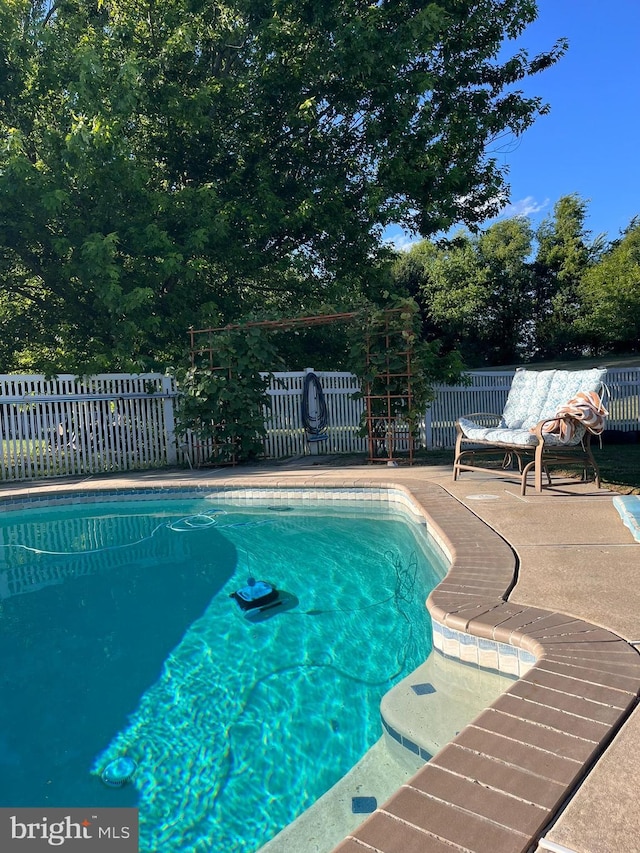 113 Fieldbrook, Magnolia, DE 19962 - view of pool with fence and a patio area