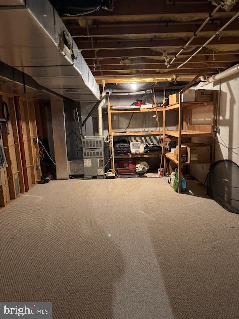 113 Fieldbrook, Magnolia, DE 19962 - unfinished basement featuring carpet