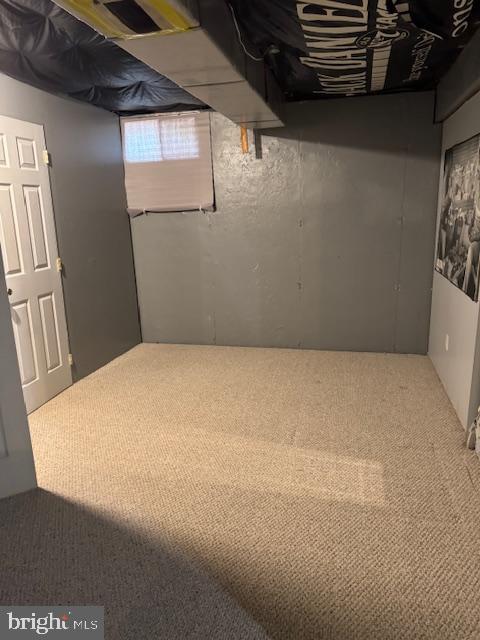 113 Fieldbrook, Magnolia, DE 19962 - below grade area with carpet floors