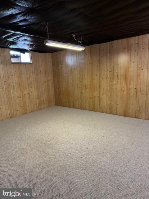 113 Fieldbrook, Magnolia, DE 19962 - basement featuring carpet and wooden walls
