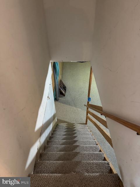 113 Fieldbrook, Magnolia, DE 19962 - stairway featuring carpet