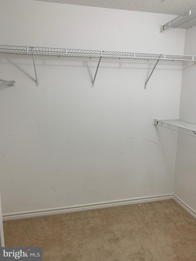 walk in closet with carpet