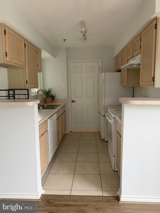 kitchen with a sink, white appliances, light countertops, a textured ceiling, and under cabinet range hood