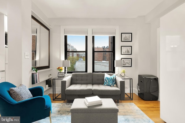 living area featuring wood finished floors