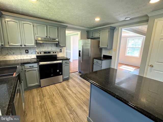 kitchen featuring under cabinet range hood, backsplash, ornamental molding, light wood-type flooring, and appliances with stainless steel finishes