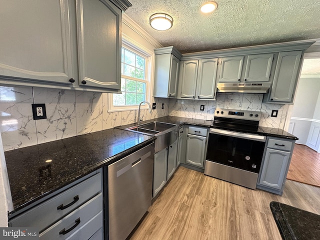 kitchen featuring under cabinet range hood, stainless steel appliances, ornamental molding, a sink, and light wood-type flooring