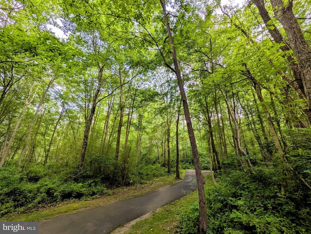 1513 Millikens Bend Rd, Herndon, VA 20170 - view of street with a forest view