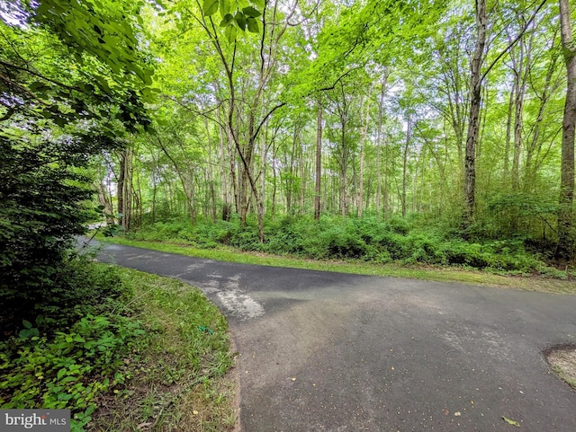 1513 Millikens Bend Rd, Herndon, VA 20170 - view of road featuring a view of trees
