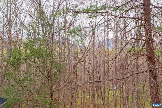 115 Circle Rd, Stanardsville, VA 22973 - exterior space with a wooded view