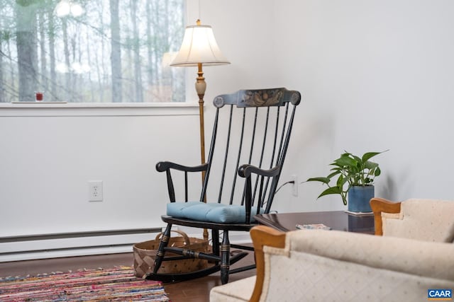115 Circle Rd, Stanardsville, VA 22973 - living area with a baseboard radiator and wood finished floors