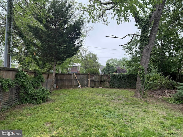 619 Cannon St, Chestertown, MD 21620 - view of yard with a fenced backyard